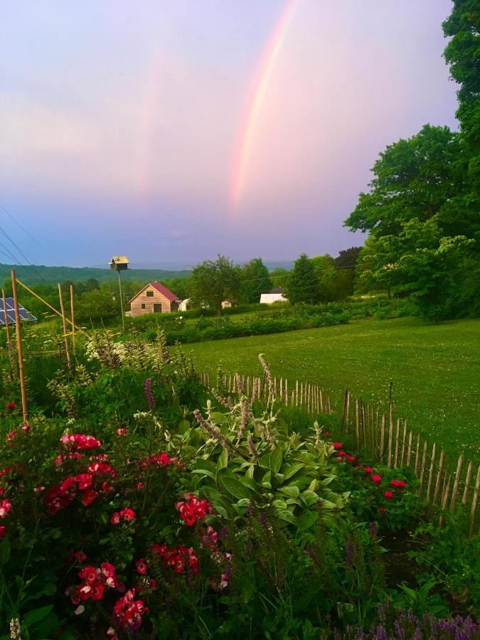Enfield Manor Bed&Breakfast And Vacation Rental Newfield 外观 照片