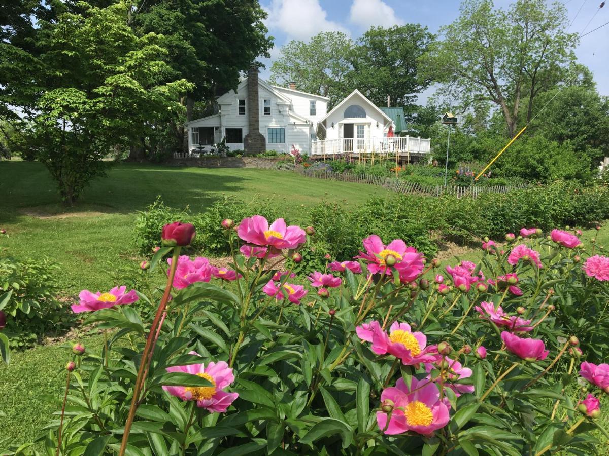 Enfield Manor Bed&Breakfast And Vacation Rental Newfield 外观 照片